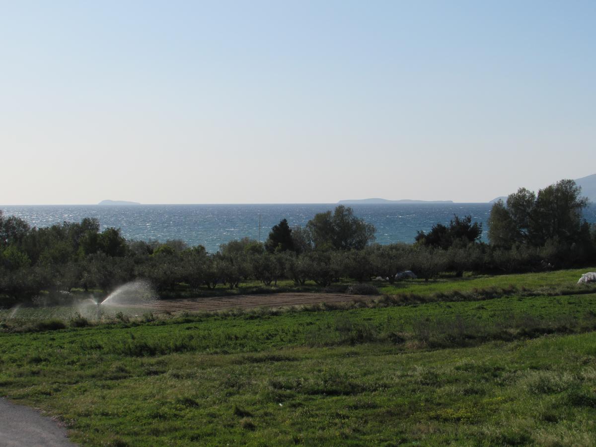 Luis Apartments Mastichari  Dış mekan fotoğraf